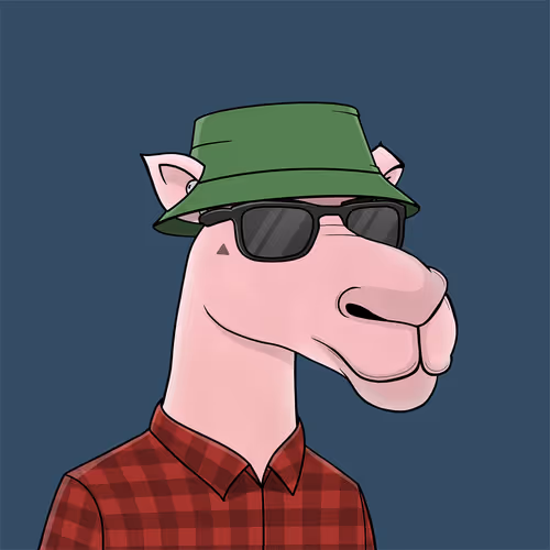 Camelsnftio