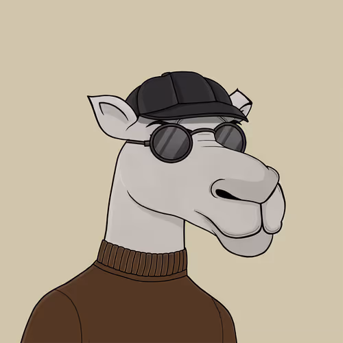 Camelsnftio