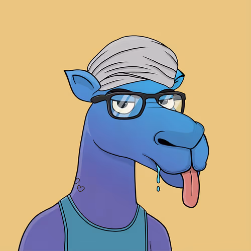 Camelsnftio