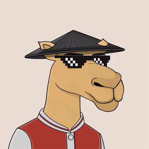 Camelsnftio