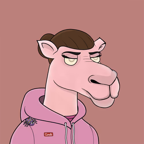 Camelsnftio