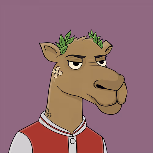 Camelsnftio