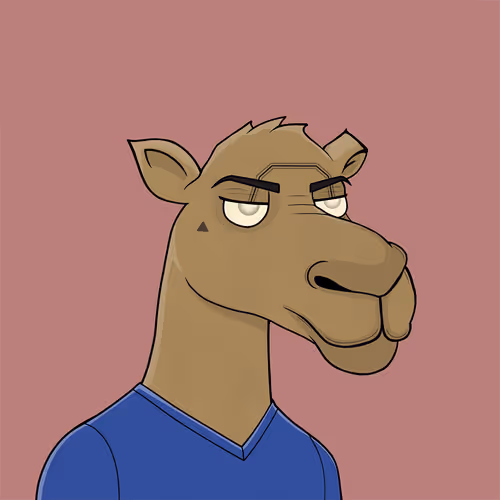 Camelsnftio