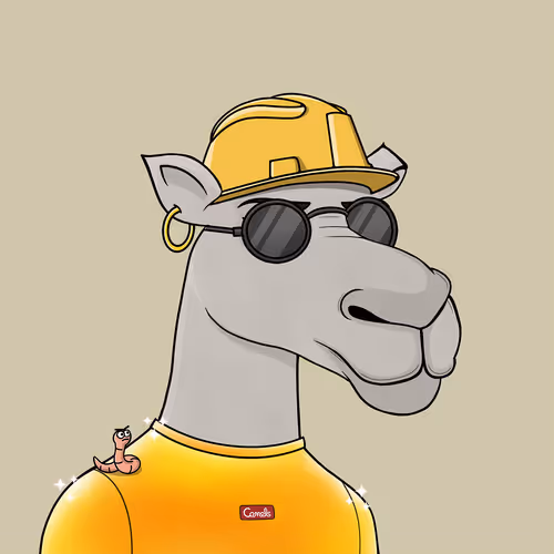 Camelsnftio