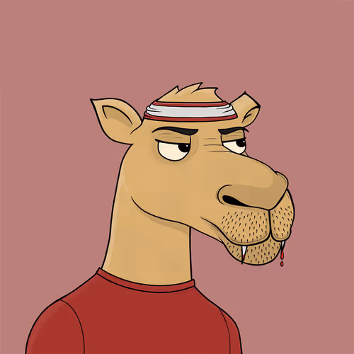 Camelsnftio