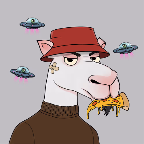 Camelsnftio