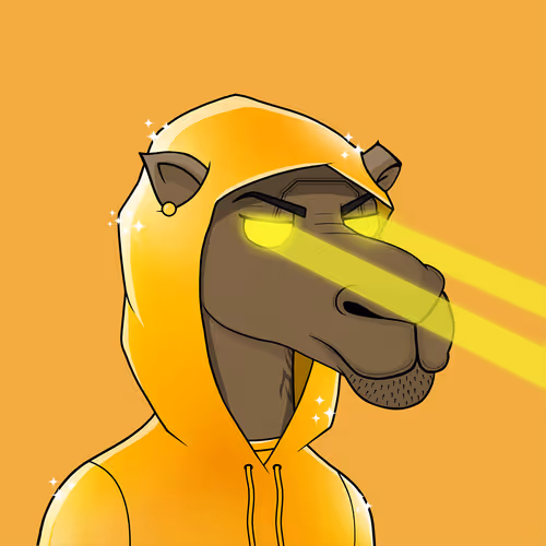 Camelsnftio