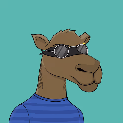 Camelsnftio