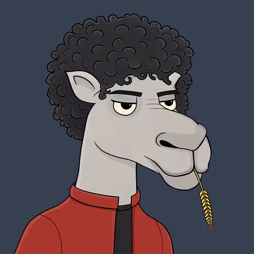 Camelsnftio