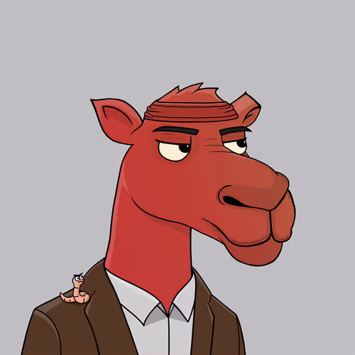 Camelsnftio