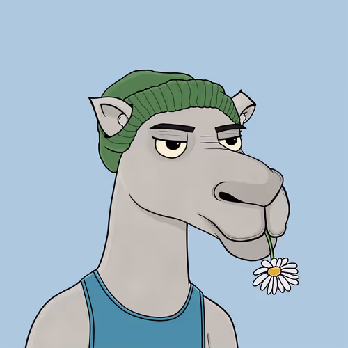 Camel #2268