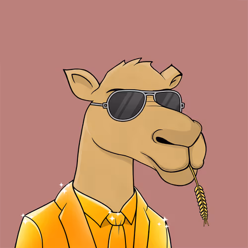 Camelsnftio