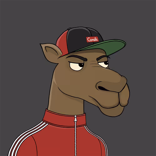Camelsnftio