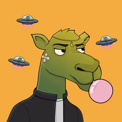 Camelsnftio