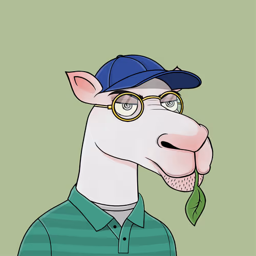 Camelsnftio