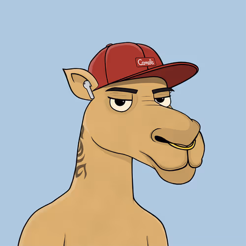Camelsnftio