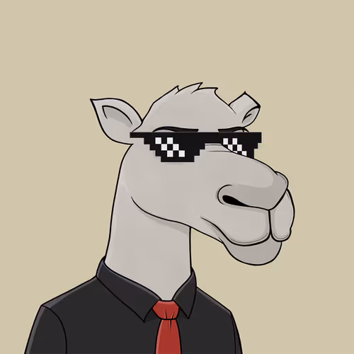 Camelsnftio