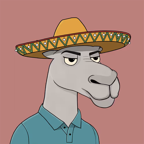 Camelsnftio