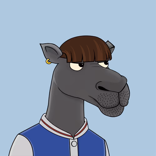 Camelsnftio