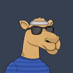 Camel #4524