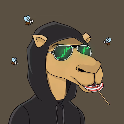 Camelsnftio