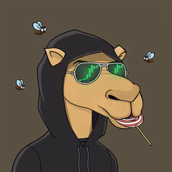 Camel #4826