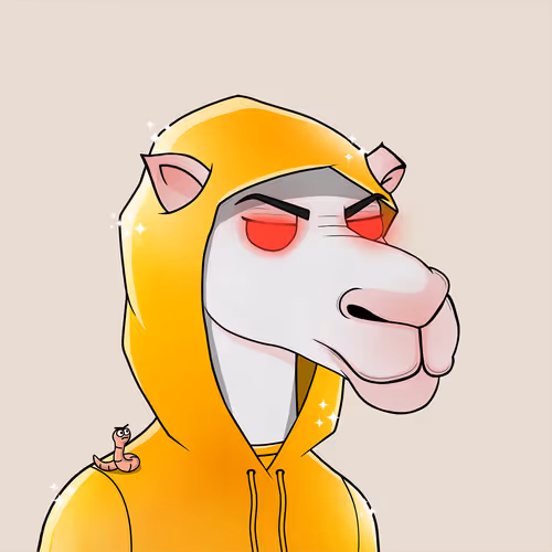 Camelsnftio