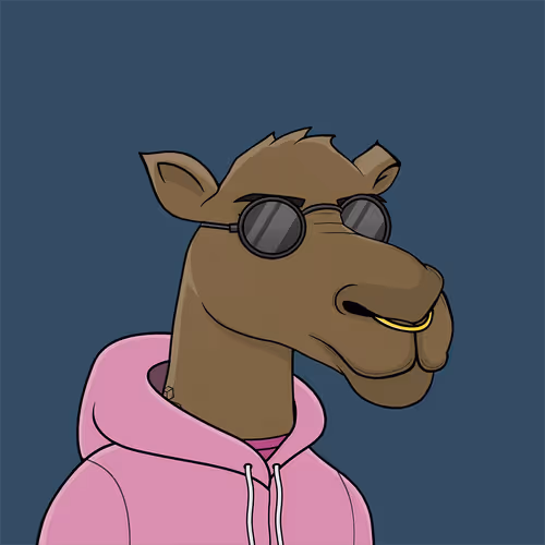 Camelsnftio