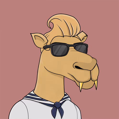 Camel #577