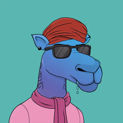 Camelsnftio