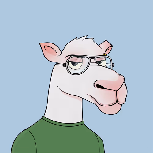 Camelsnftio