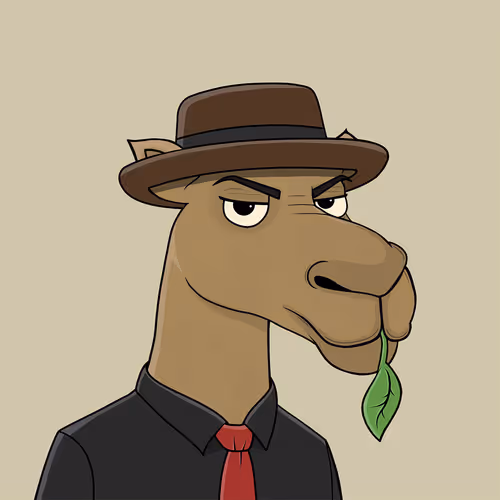 Camelsnftio