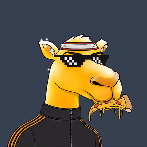 Camelsnftio