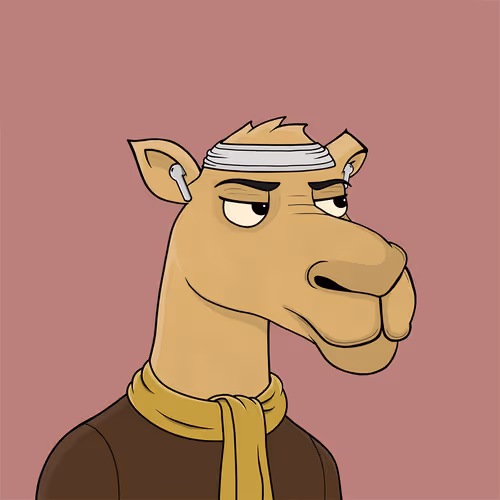 Camelsnftio