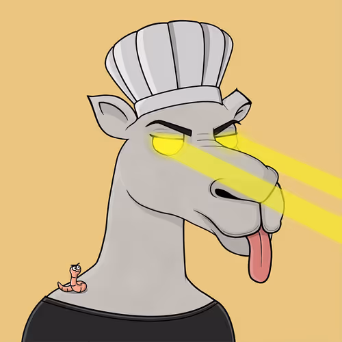 Camelsnftio