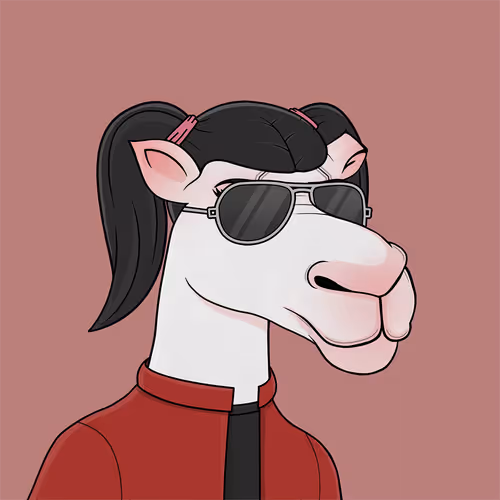Camelsnftio