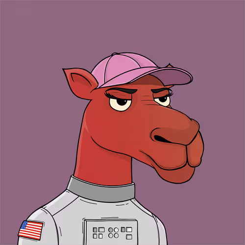 Camelsnftio