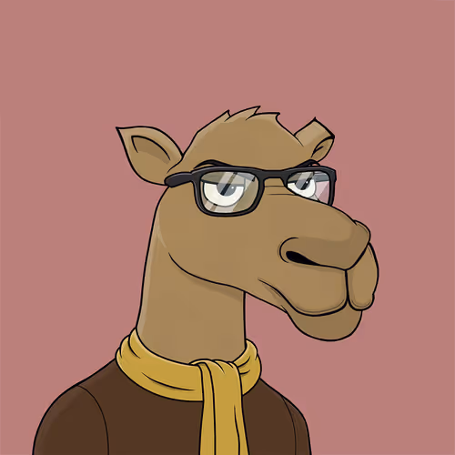 Camelsnftio