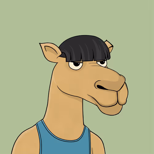 Camelsnftio