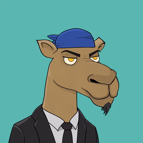 Camelsnftio