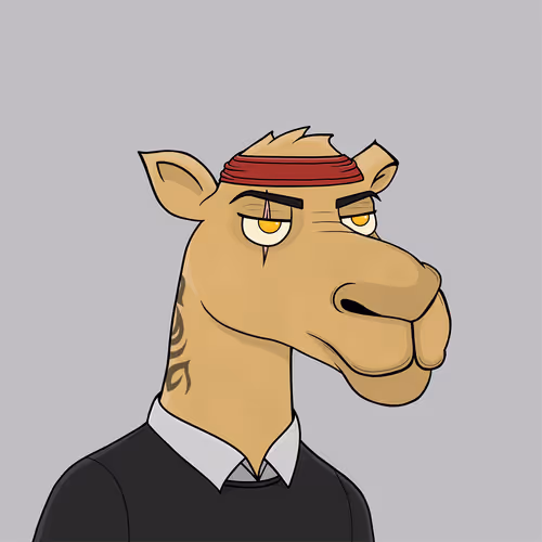 Camelsnftio