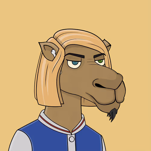 Camelsnftio
