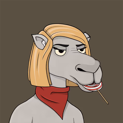 Camelsnftio