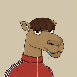 Camel #3211