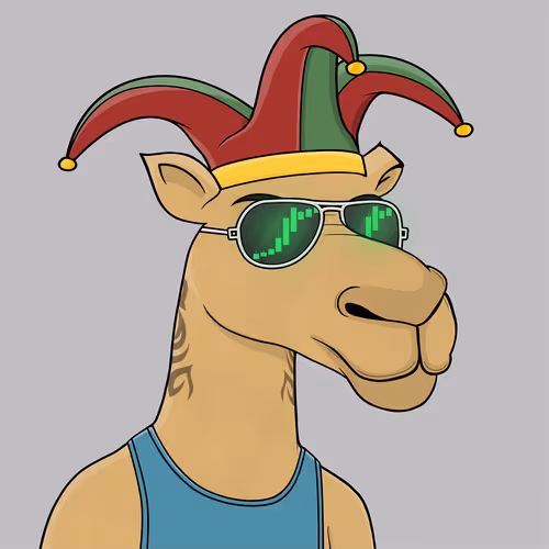 Camelsnftio