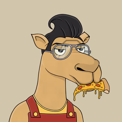 Camelsnftio