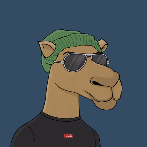 Camelsnftio