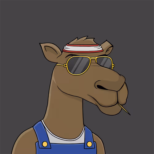 Camelsnftio