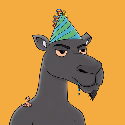 Camelsnftio