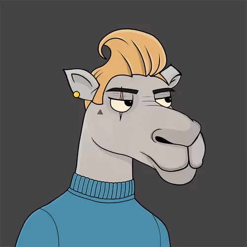 Camelsnftio